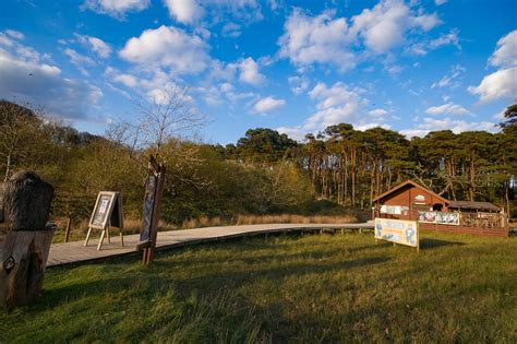 Go Ape Margam Explore South Wales