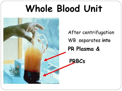 Ppt Blood Components Powerpoint Presentation Free Download Id4739348