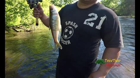 Fishing River Shiners 1080p Youtube