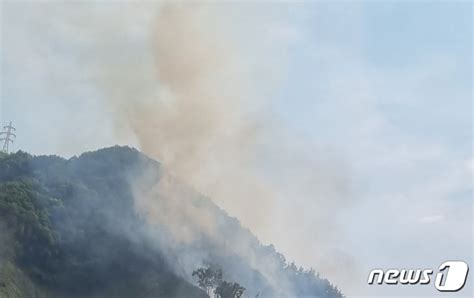 순천 송광면 야산서 산불2시간30여분 만에 진화 네이트 뉴스