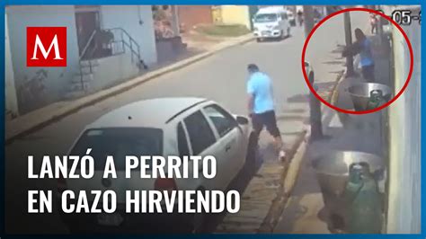 Un Hombre En Estado De Ebriedad Lanzó A Un Perrito A Un Cazo Grupo Milenio