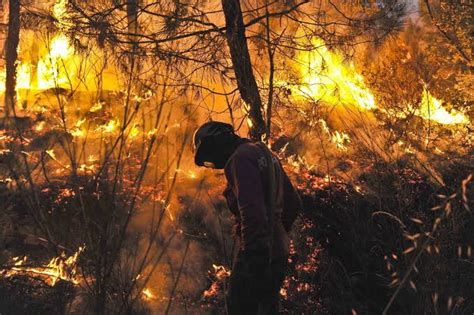 Waduh Se Sumatera Ini Provinsi Riau Terbanyak Hotspot Rohil