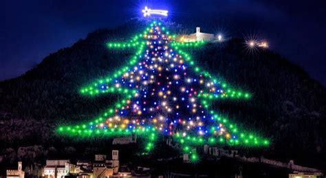 Lighting of Gubbio Christmas Tree | Bella Umbria