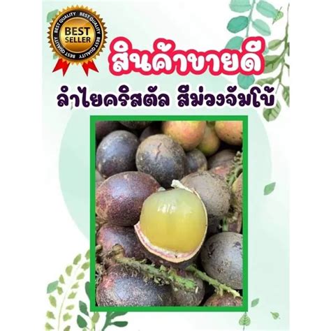 Hot Style Lazada Co Th