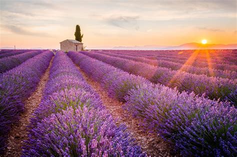 5.Provence - Visit Europe