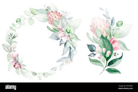 Set Of Illustrations Of Watercolor Flower Bouquet Pale Pink Green Pink Flower Green Leaf