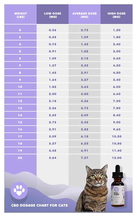 How To Give Cbd To Cats Best Practices For Pet Owners