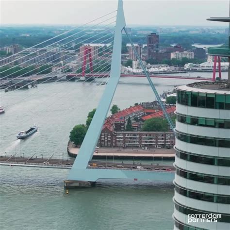rotterdam partners  linkedin   rotterdam  perfect