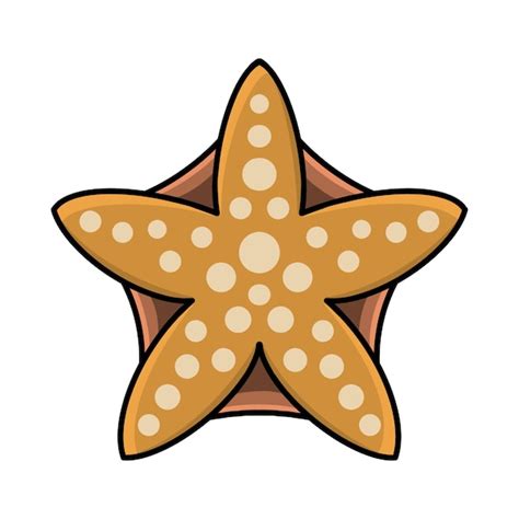 Starfish Clipart Vectors And Illustrations For Free Download Freepik