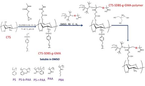 Graft Modification Of Chitosan Cunningham Lab