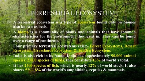 Types Of Ecosystem PPT