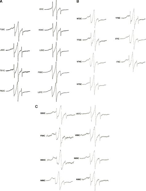 A Cw Epr Spectra Of Nitroxide Labeled Solubilized Cox Helix A