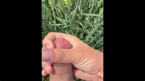 Good Times In The Wheat Field Pornhub Gay