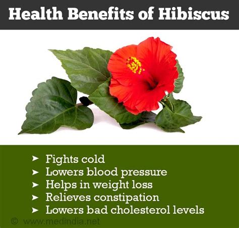 Health Benefits of Hibiscus | Health benefits, Hibiscus, Health