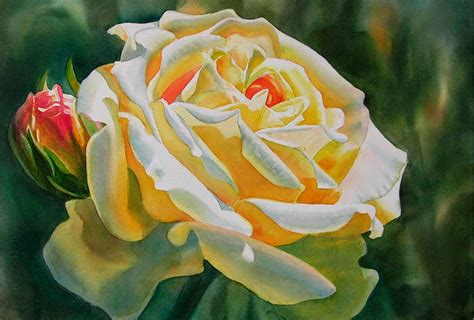 El Arte Es Su Máxima Expresión Flores Acuarelas En Papel Espectaculares Rosas De Sharon