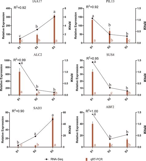 Relative Expression Levels Of Six Selected Genes During Zygotic Download Scientific Diagram