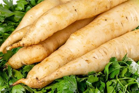 How To Grow White Carrots