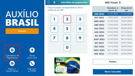 CalendÁrio Bolsa FamÍlia 2023 Como Consultar Parcelas E Calendário Do