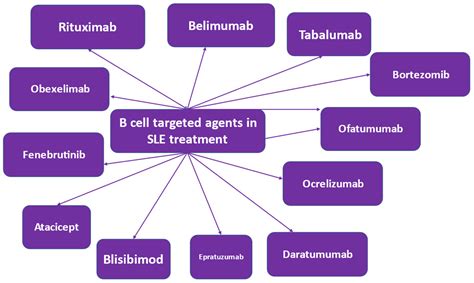 Treatment Approach Of Systemic Lupus Erythematosus Encyclopedia Mdpi