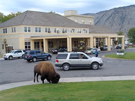 Mammoth Hot Springs Hotel & Cabins