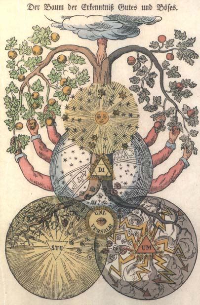 Biblische Ausbildung The Tree Of The Knowledge Of Good And Evil