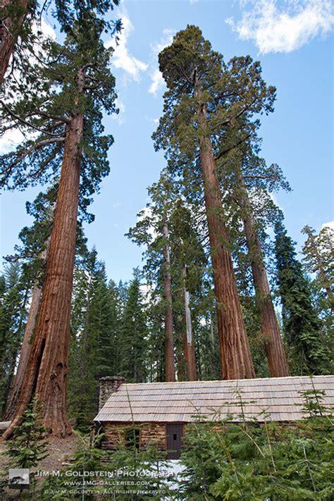 Jmg Galleries Landscape Nature And Travel Photography Upper Mariposa
