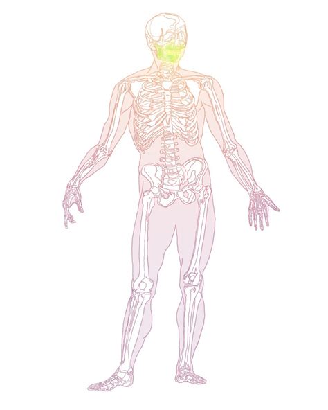 Symptoms of Scleroderma - National Scleroderma Foundation