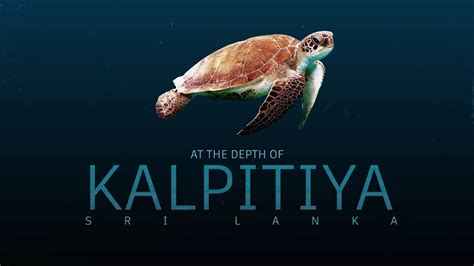 At The Depth Of Kalpitiya Sri Lanka Youtube