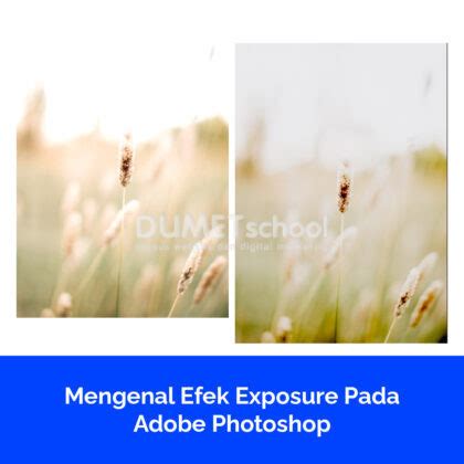 Mengenal Efek Exposure Pada Adobe Photoshop Indah Cover