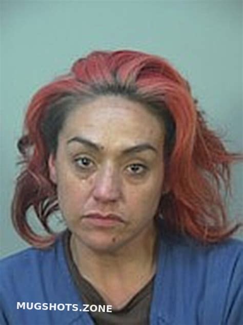 SOSA ELIZABETH SOPHIA 11 28 2023 Dane County Mugshots Zone