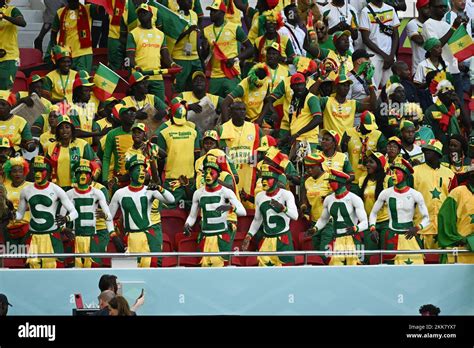 Senegalese Fans Attend The Qatar V Senegal Match Of The Fifa World Cup Qatar 2022 At Thumama