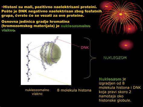 PPT - ЕНЗИМИ -ферменти- PowerPoint Presentation, free download - ID:5154180
