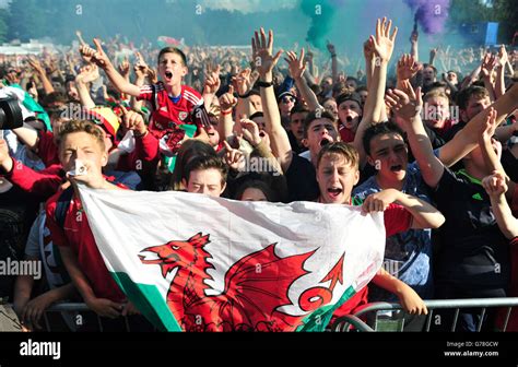 Wales Fans Celebrate There Teams First Goal As They Watch The Wales V