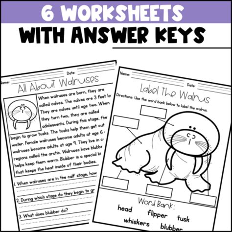 Life Cycle of a Walrus Activities, Worksheets, Booklet - Walrus Life ...