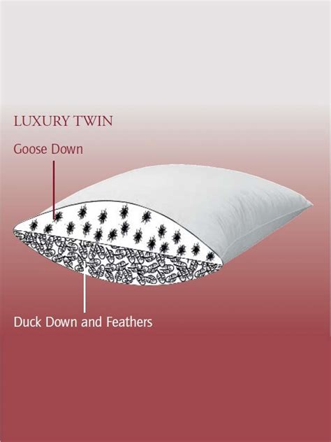 Brinkhaus Luxury Twin Pillow Review Pillow Advisor