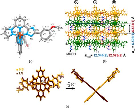 (a) Molecular structure of 1-B. The methanol molecules are omitted for ...