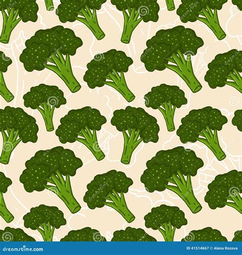 Seamless Broccoli Background Stock Vector Illustration Of Object