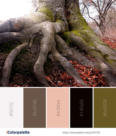 Color Palette Ideas From 4803 Tree Images Icolorpalette Plant Images