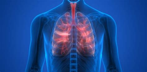 Fibrose Cística Sintomas Diagnóstico E Tratamento Saúde Melhor