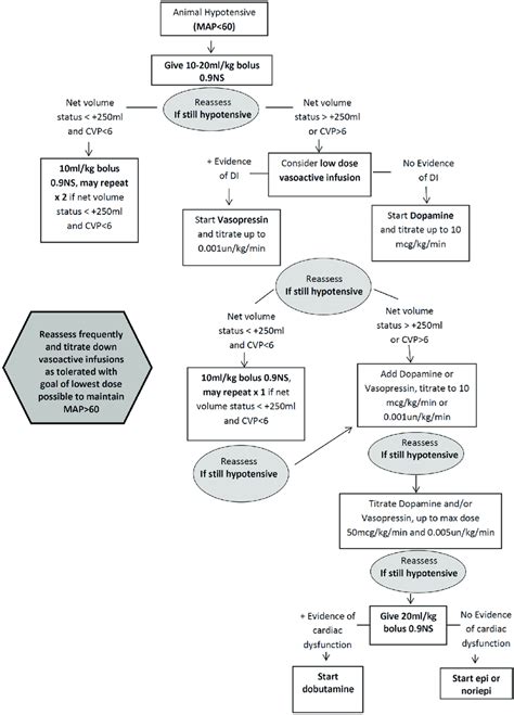 Algorithm for management of a hemodynamically unstable primate. An ...