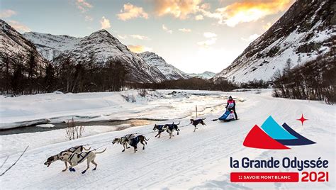 La Grande Odyss E Savoie Mont Blanc L V Nement Du Chien De