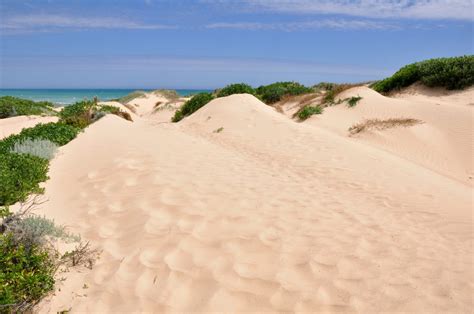 Coorong National Park (Official GANP Park Page)