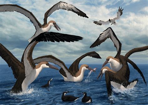 Art illustration - Prehistoric Birds - Pelagornis: is a genus of extinct seabird compo ...