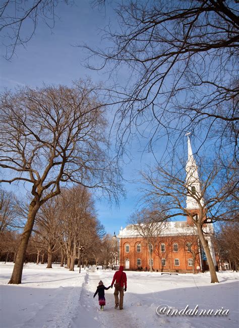 My Purple World : Visiting Yale University, New Haven