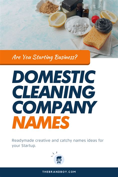 Best Domestic Cleaning Company Names Ideas Domestic Cleaning