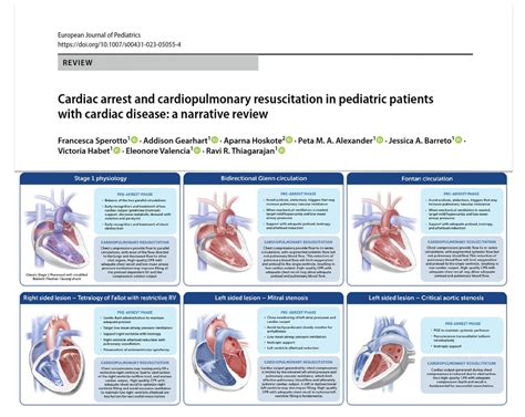 M Velia Antonini On Twitter Cardiac Arrest Cardiopulmonary