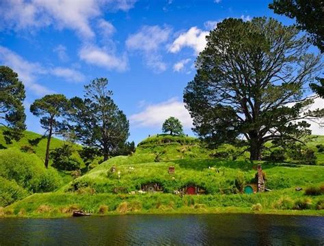 10 BEST Tours From Auckland To Hobbiton In 2024