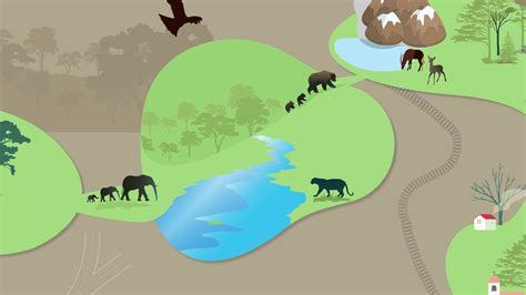 What are Wildlife Corridors? | RoundGlass | Sustain