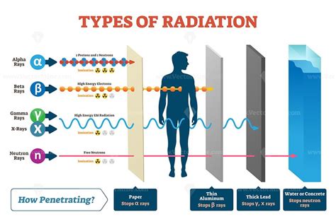 Types of radiation vector illustration diagram and labeled example ...