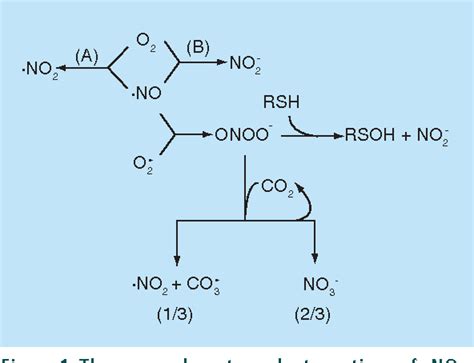 Figure From Special Focus Y Nitric Oxide Releasing Materials Special